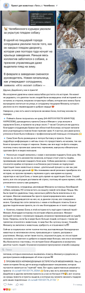 Прием Додобони в приют