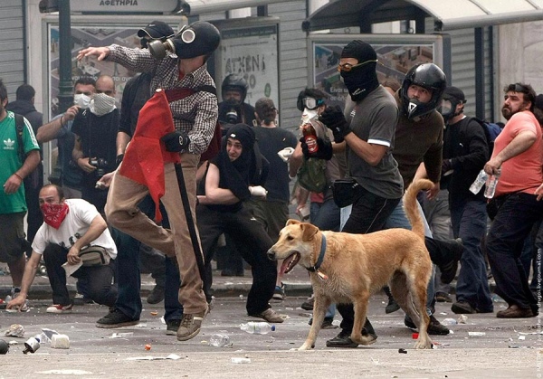 Тодорис на протесте